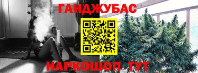 стафф Камышлов