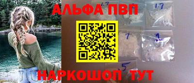 стафф Камышлов