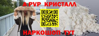 стафф Камышлов