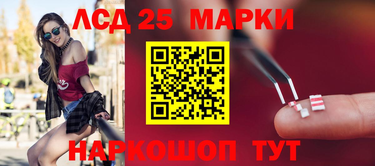 Псилоцибиновые грибы Нижнеудинск