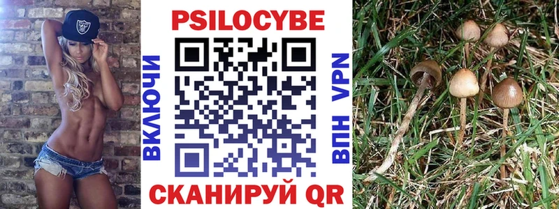 Псилоцибиновые грибы Magic Shrooms  Нижнеудинск 